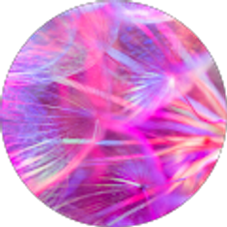 Profile photo of YADia AG