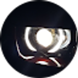 Profile photo of Wheeled Up