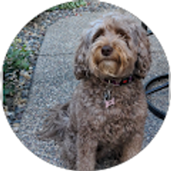 Profile photo of Susan Sandoval