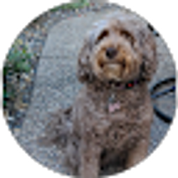 Profile photo of Susan Sandoval