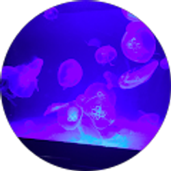 Profile photo of Carla Arias