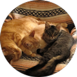 Profile photo of Jeannice Putt