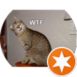 Profile photo of Kirt Harman