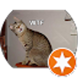 Profile photo of Kirt Harman