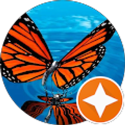 Profile photo of Sara Figueroa