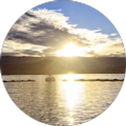 Profile photo of Lexi