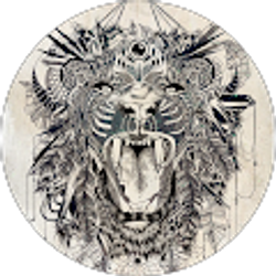 Profile photo of Stephany Castillo