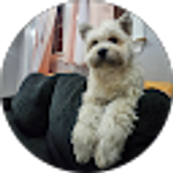 Profile photo of Rivas Karoline