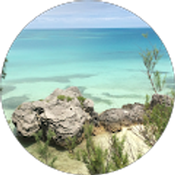 Profile photo of John Udelhofen