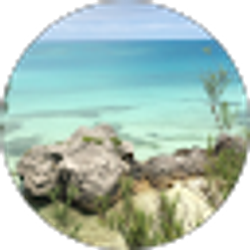 Profile photo of John Udelhofen