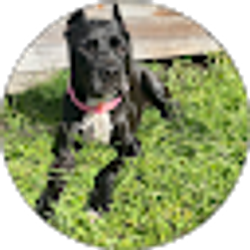 Profile photo of MaLina