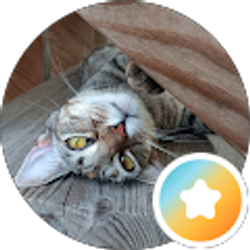 Profile photo of corrin lee