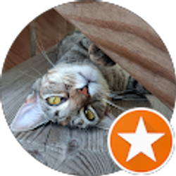 Profile photo of corrin lee