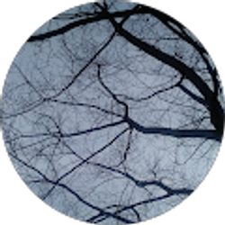 Profile photo of Harry Edward Pierce