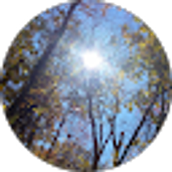 Profile photo of Gina Largen