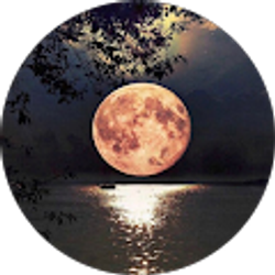 Profile photo of Juan Thomas