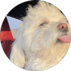 Profile photo of jovanna ramirez