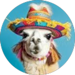 Profile photo of Michele Hays