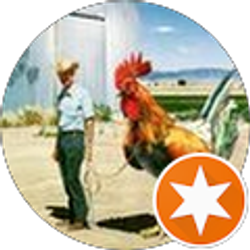 Profile photo of Cole Packard