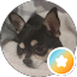 Profile photo of JulzMtz** *