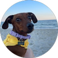 Profile photo of Jordan King Crockett