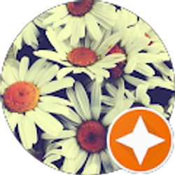 Profile photo of Kristy B