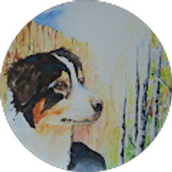 Profile photo of Bright Watercolors