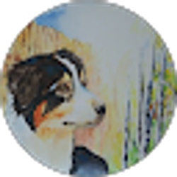 Profile photo of Bright Watercolors