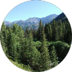 Profile photo of Bennett Brauer