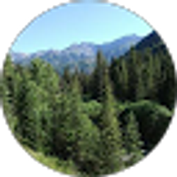 Profile photo of Bennett Brauer