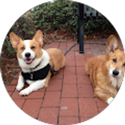 Profile photo of Francisco Concepcion