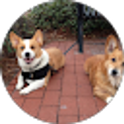 Profile photo of Francisco Concepcion