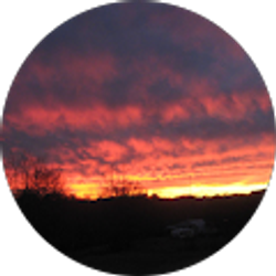 Profile photo of Denise McCown