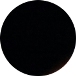 Profile photo of Debrah Fortino