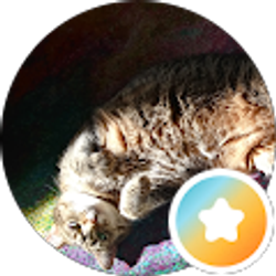 Profile photo of Pat Newman