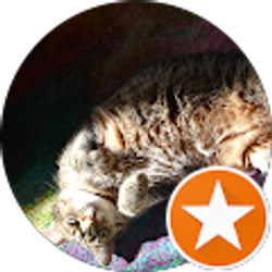 Profile photo of Pat Newman