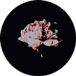 Profile photo of Vasthy Campos