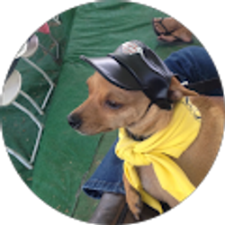 Profile photo of Craig Hays