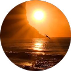 Profile photo of Victoria Richards