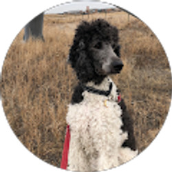 Profile photo of Bernie Brinker