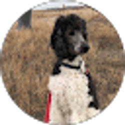 Profile photo of Bernie Brinker