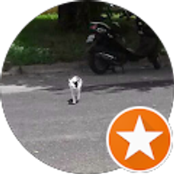 Profile photo of Lupe Casarez