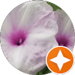 Profile photo of Beauty'N'TheBibleTV Audrey B