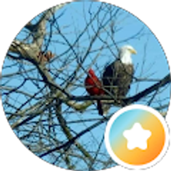 Profile photo of Karen Paulsen