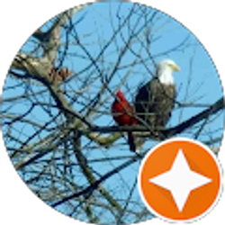 Profile photo of Karen Paulsen