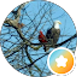 Profile photo of Karen Paulsen