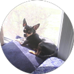 Profile photo of Emerita Mogrovejo