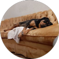 Profile photo of Cvc Cvcc