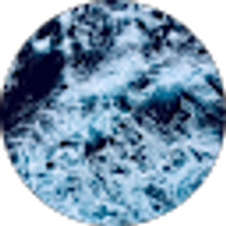 Profile photo of Lacey Washington