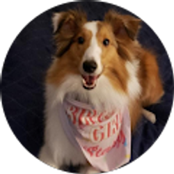 Profile photo of Linda Bennett